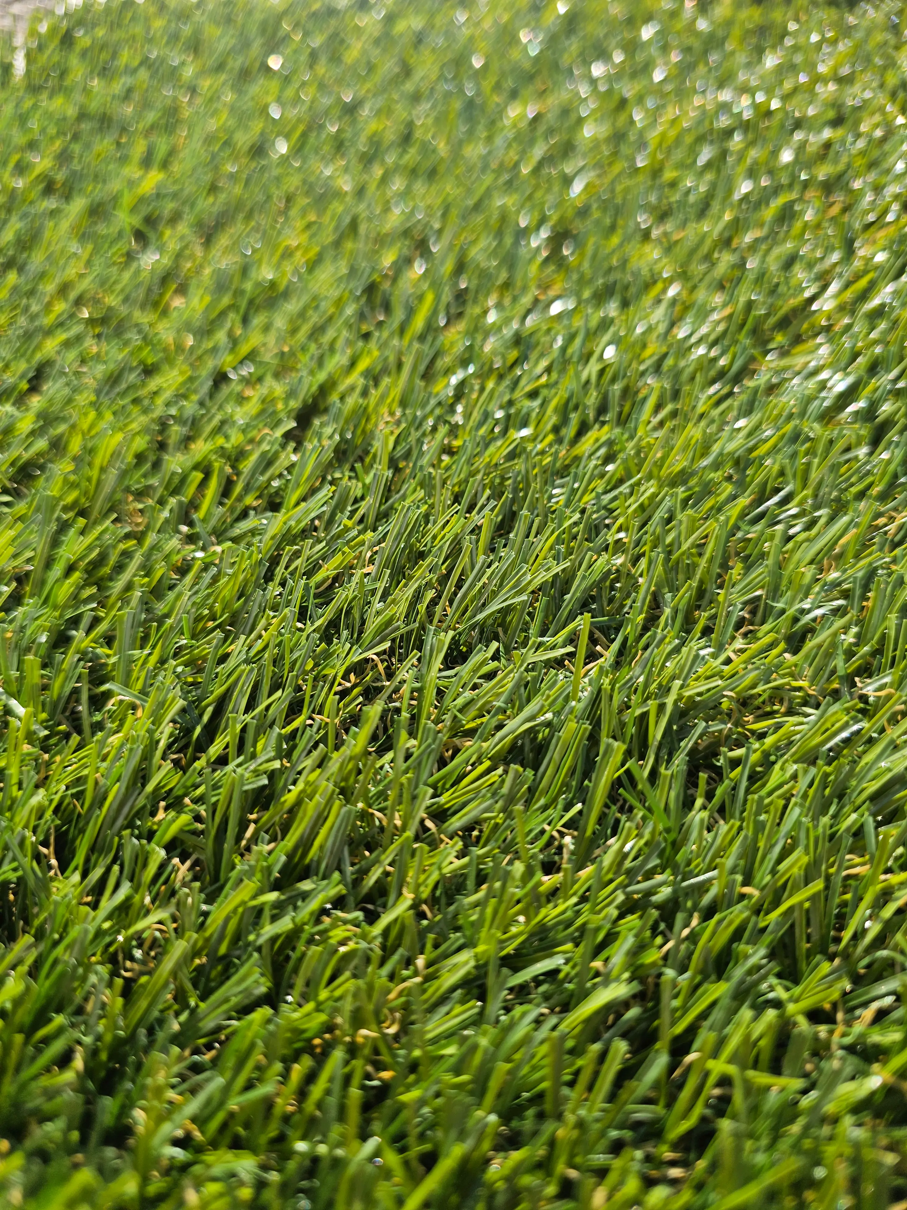 Gazon synthétique Aux 25 — 25mm